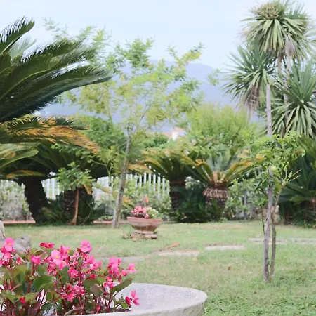 Annamaria - Swimming Pool And Peace In Castelforte